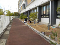 DSCN8841