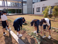 IMG_20250513_084352_767