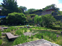 IMG_20250527_104245_111