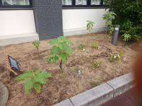 IMG_20250626_142647_872