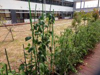 IMG_20250703_093930_289