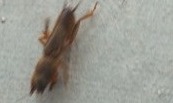 IMG_20250706_060840_130