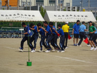 DSC08486
